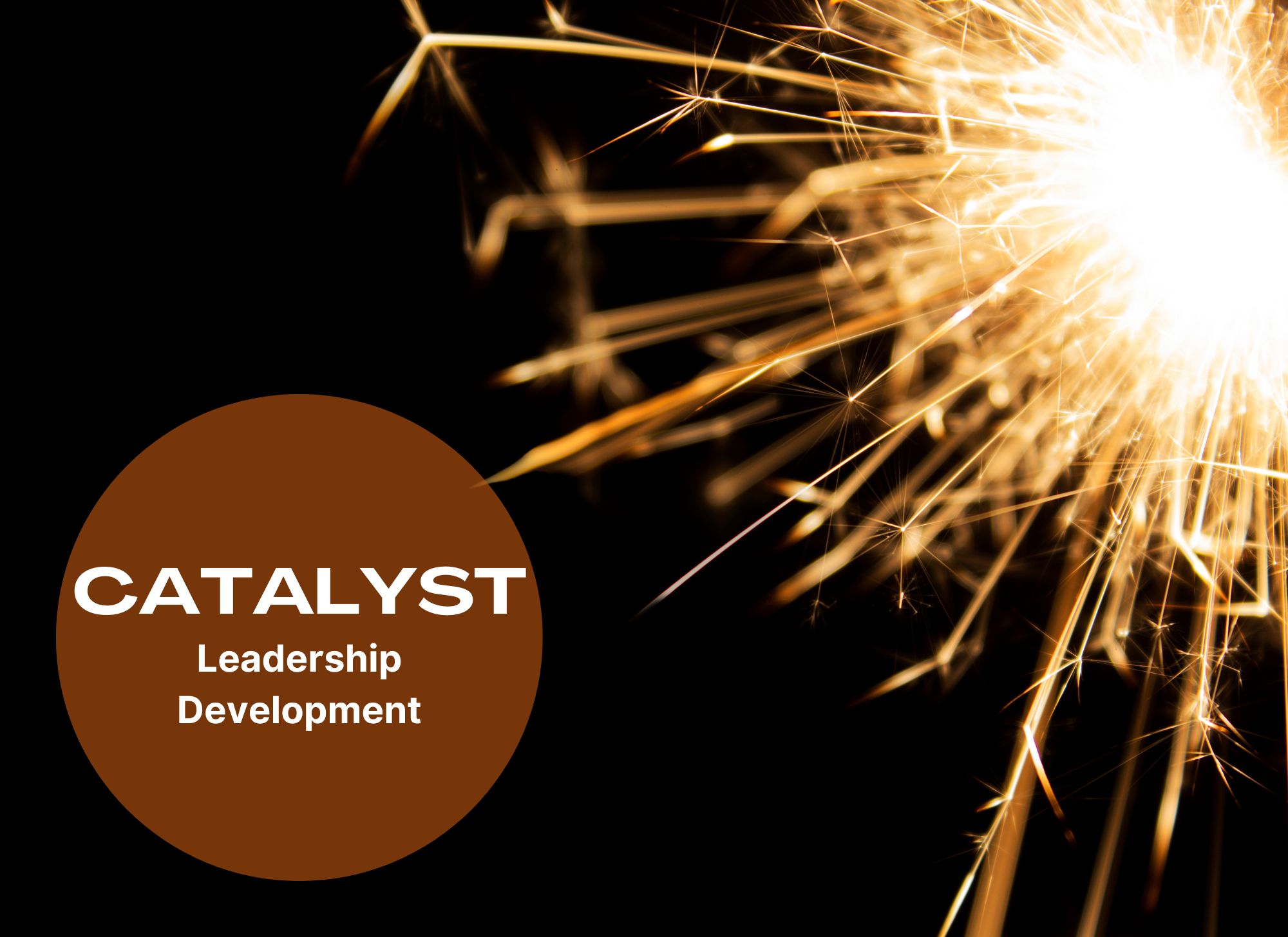 Catalyst Leadership Development